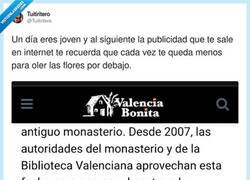 Enlace a Buscaba planes culturales y me ha salido el plan definitivo, por @Tuitiritero