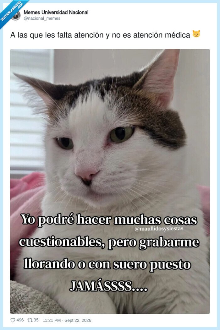 atencion,cuidado,emociones,cuestionable,rechazo