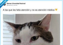 Enlace a Nunca perderé la dignidad como hacen los influencers, por @nacional_memes