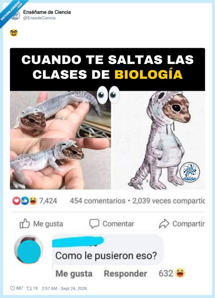 biolog&iacute;a,lizardo,clases,educaci&oacute;n