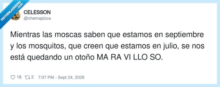 septiembre,mosquitos,moscas,oto&ntilde;o,picaduras