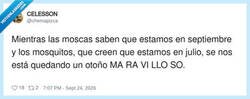 Enlace a Se nos juntaron moscas con mosquitos, por @chemapizca