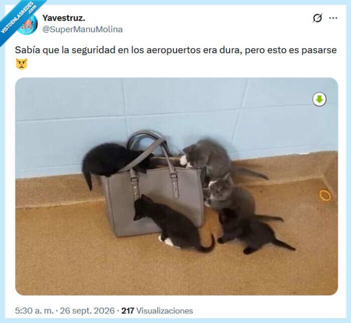 seguridad,aeropuertos,bolso,gatitos