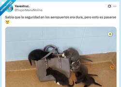 Enlace a Pero, es que les tienes que dejar por @supermanumolina