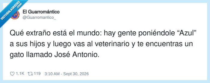 nombres,veterinario,gatos,ni&ntilde;os,absurdo