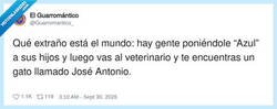 Enlace a Estamos poniendo nombres de Pokémon a los niños y nombres de cuñado al gato, por @Guarromantico_