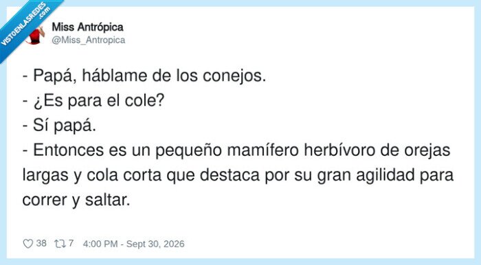 conejos,paternidad,colegio,educaci&oacute;n,definici&oacute;n