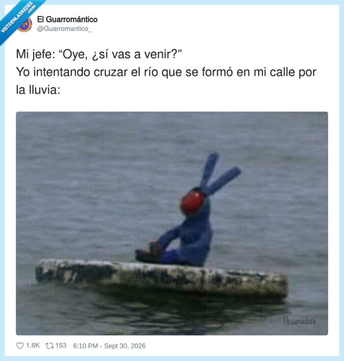 lluvia,inundaci&oacute;n,trabajo,jefe,supervivencia