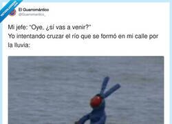 Enlace a Apenas me explotan, por @Guarromantico_