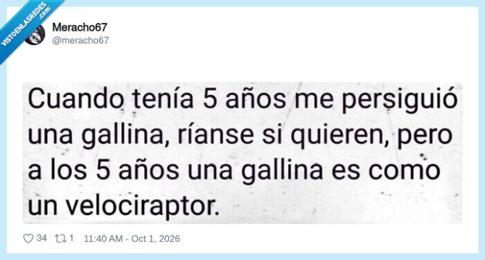gallina,velociraptor,infancia,persecuci&oacute;n,an&eacute;cdota