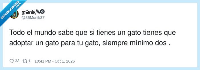 1759810 - Y luego te preguntas por qué tu gato te mira como si le debieras dinero, por @86Monik37