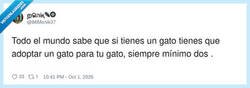 Enlace a Y luego te preguntas por qué tu gato te mira como si le debieras dinero, por @86Monik37