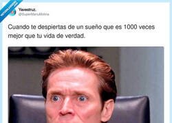 Enlace a Yo intentando volver a dormir para seguir el sueño: no me podéis hacer esto, por @SuperManuMolina
