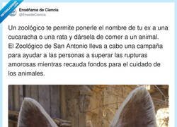 Enlace a Esto es la idea del año, por @EnsedeCiencia