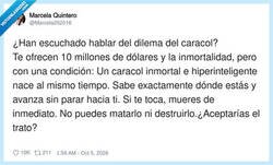 Enlace a El dilema del caracol