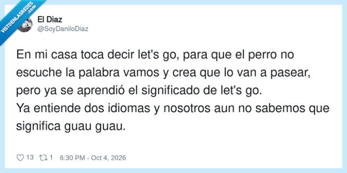 perro,idiomas,paseo,comunicaci&oacute;n,mascotas