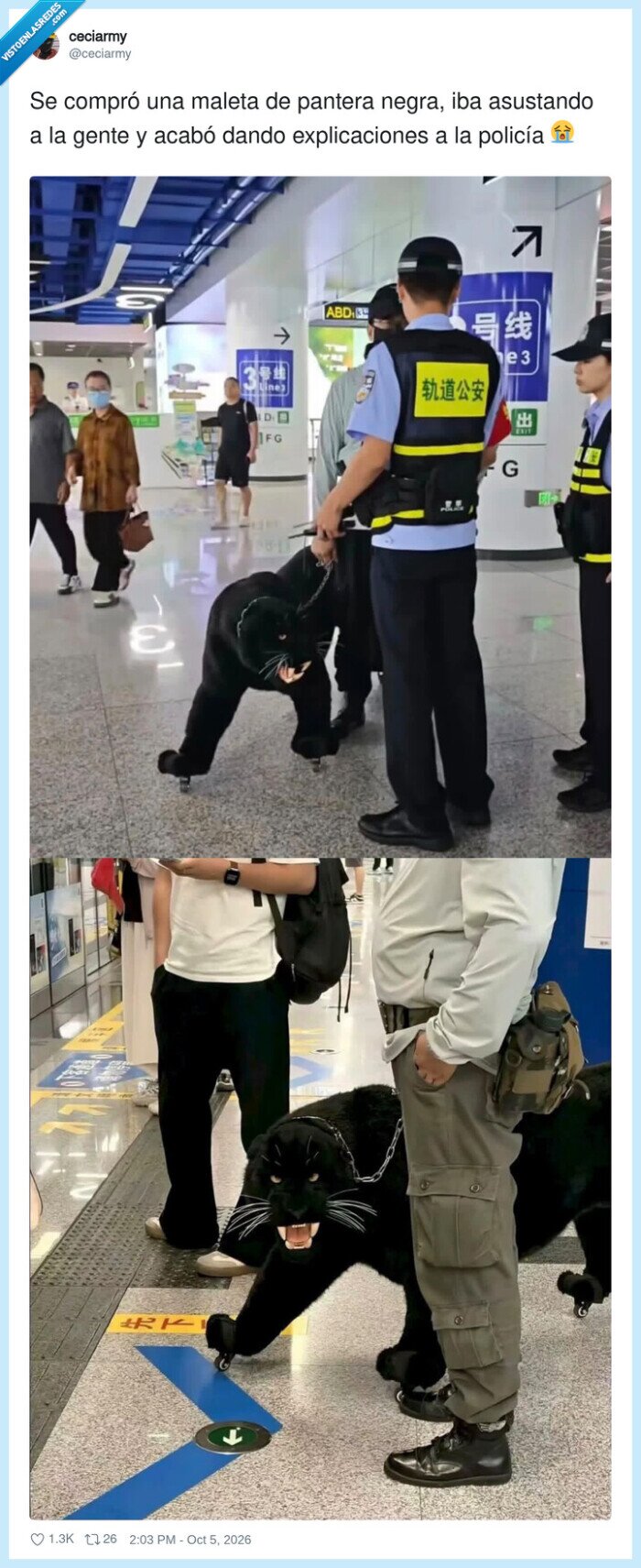 1760179 - El. hombre no debía estar muy bien de la cabeza