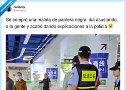 Enlace a El. hombre no debía estar muy bien de la cabeza
