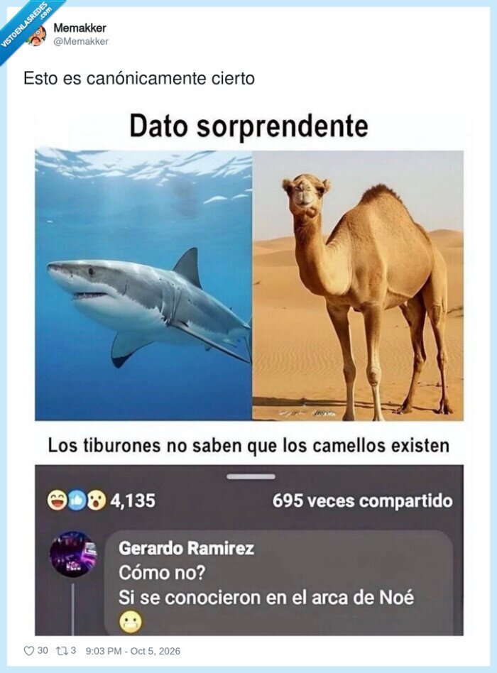 Tibur&oacute;n,Camello,Arca de No&eacute;,Animales,Absurdo