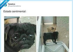 Enlace a No le hagáis esto en su cara, leñe, por @SuperManuMolina