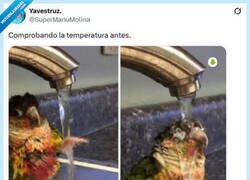 Enlace a Que no se asuste por @supermanumolina