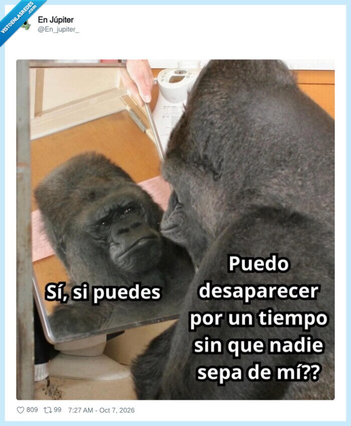 gorila,espejo,desaparecer,sinceridad,humornegro