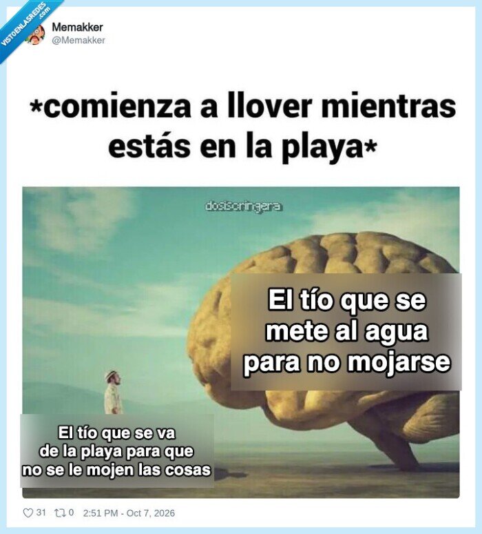 playa,lluvia,verano,cerebro,meme