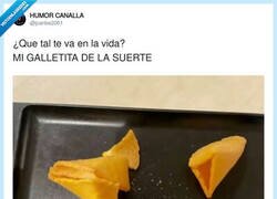 Enlace a Por fin un horóscopo que no falla, por @jcarlos2001