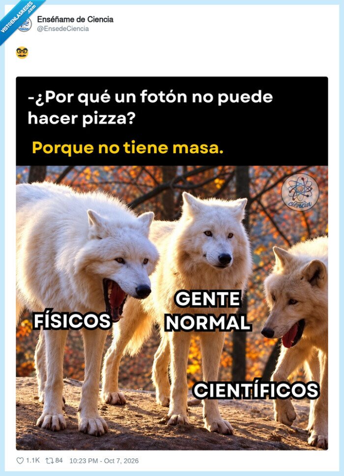f&iacute;sica,chistes,ciencia,fot&oacute;n,pizza