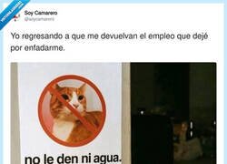 Enlace a Preparando mi vuelta después de irme dando un portazo, por @soycamarero
