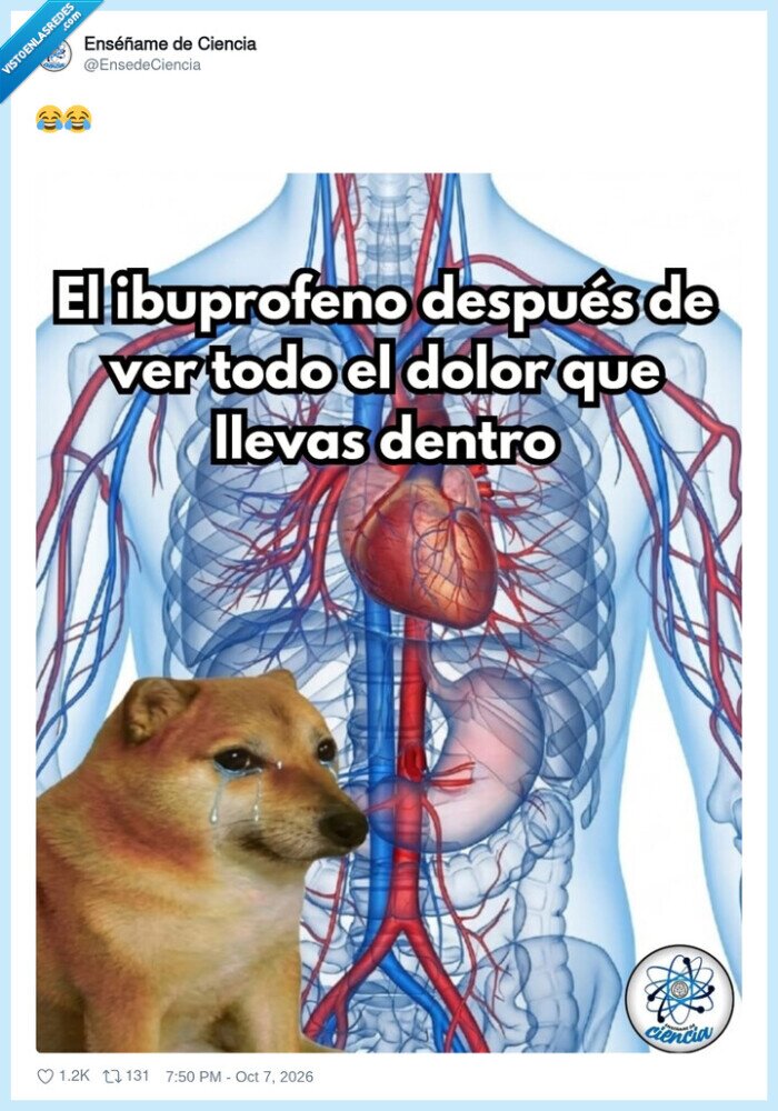 ibuprofeno,dolor,tristeza,salud,meme