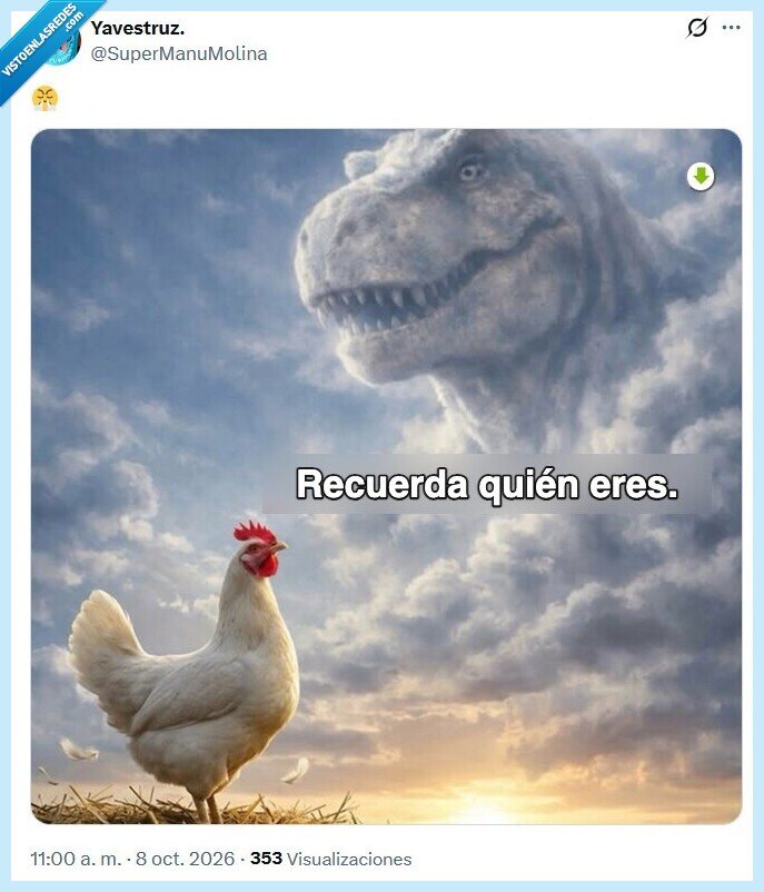 gallina,dinosaurios,evoluci&oacute;n,motivaci&oacute;n,animales