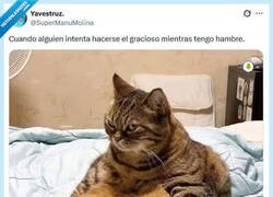 Enlace a El humor con el estómago vacío no se acepta en esta casa, por @supermanumolina