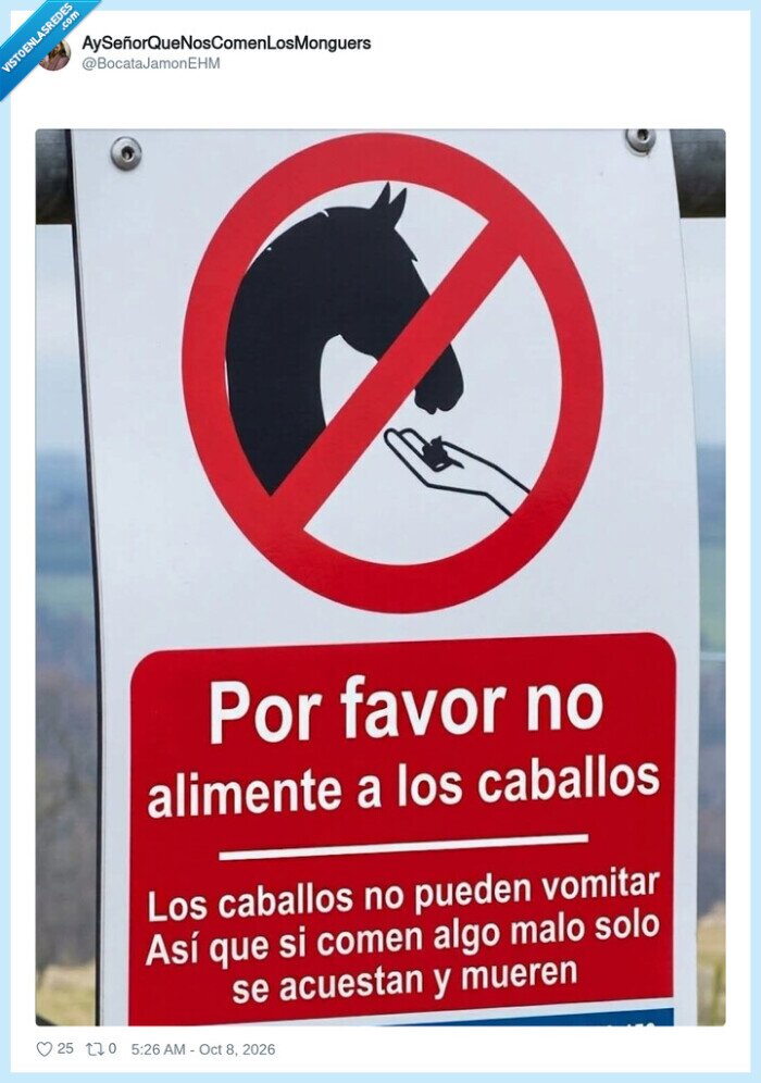 caballos,curiosidades,animales,carteles,humornegro