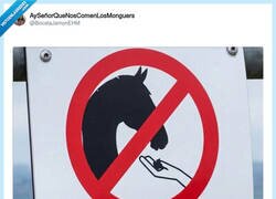 Enlace a Los caballos tienen menos margen de error que tú en un buffet libre, por @BocataJamonEHM