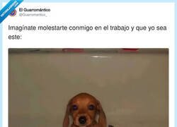 Enlace a Mi nivel de amenaza cuando me enfado en la oficina, por @Guarromantico_