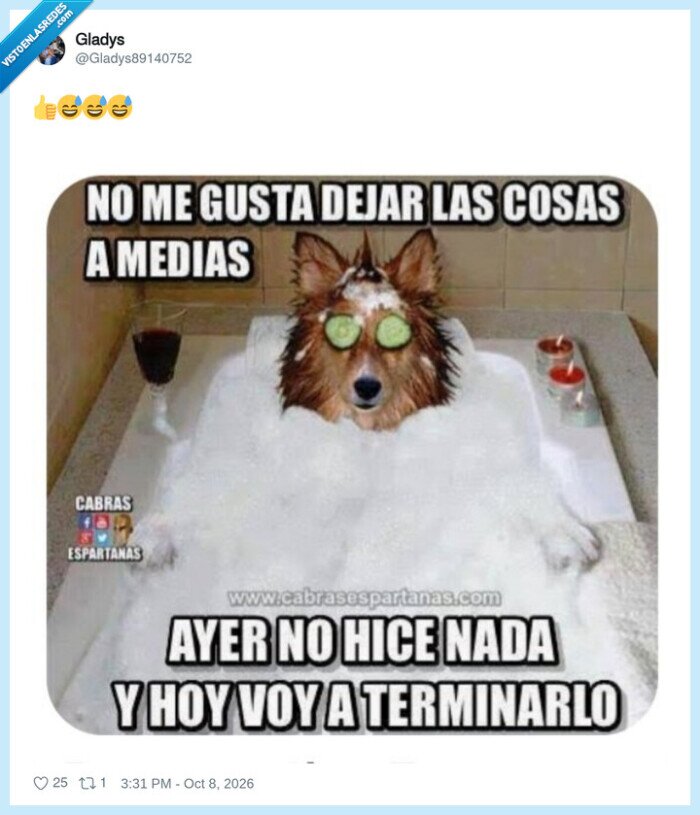 vagancia,perro,constancia,relax,procrastinaci&oacute;n