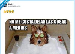 Enlace a La constancia también es esto, por @Gladys89140752