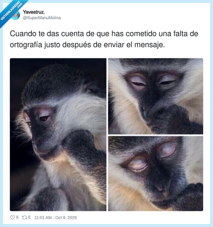 ortograf&iacute;a,mensaje,mono,error,arrepentimiento