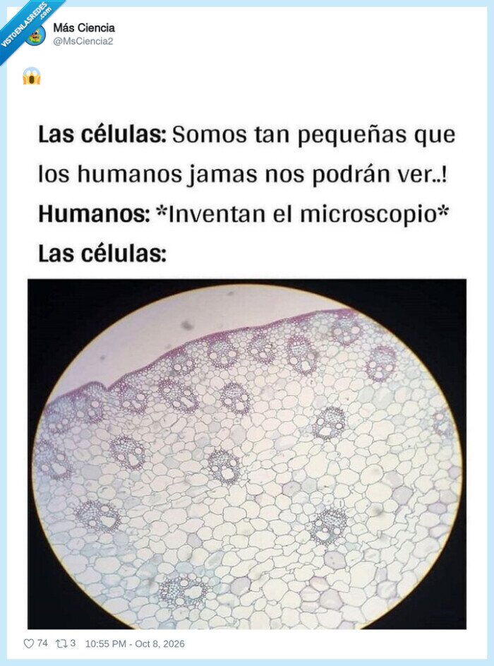 c&eacute;lulas,microscopio,biolog&iacute;a,ciencia,descubrimiento