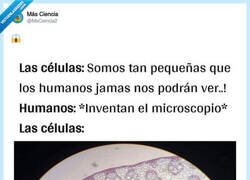 Enlace a Las células: 