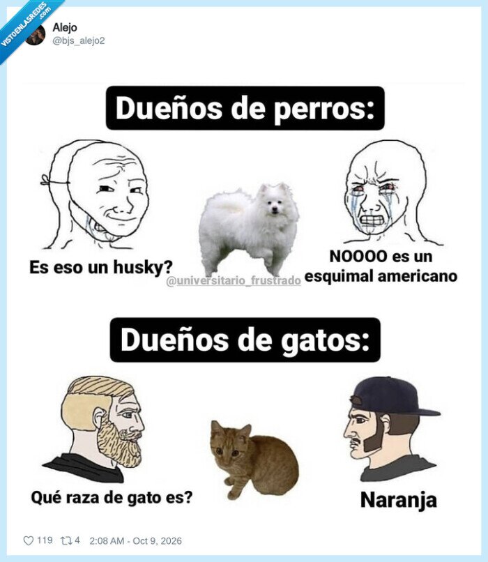 perros,gatos,mascotas,razas,comparaci&oacute;n