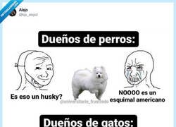 Enlace a Los dueños de perros: enciclopedia viviente. Los dueños de gatos: naranja, por @bjs_alejo2