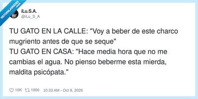 Mejor vef de ayer
