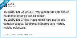 Enlace a La coherencia de un gato es exactamente la misma que la de mi ex, por @iLu_S_A