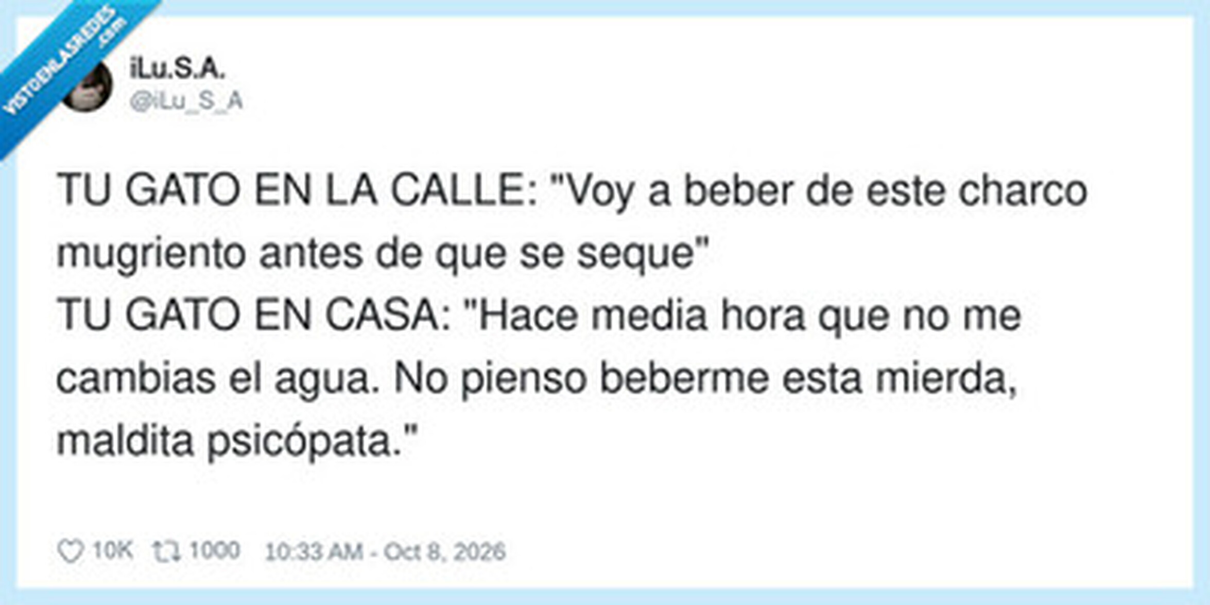 VEF > Visto en las Redes > La coherencia de un gato es exactamente la ...