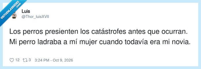 perros,matrimonio,cat&aacute;strofes,humornegro,mascotas