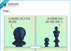 Enlace a El ajedrez también tiene sus jerarquías tóxicas, por @CamisParanoia