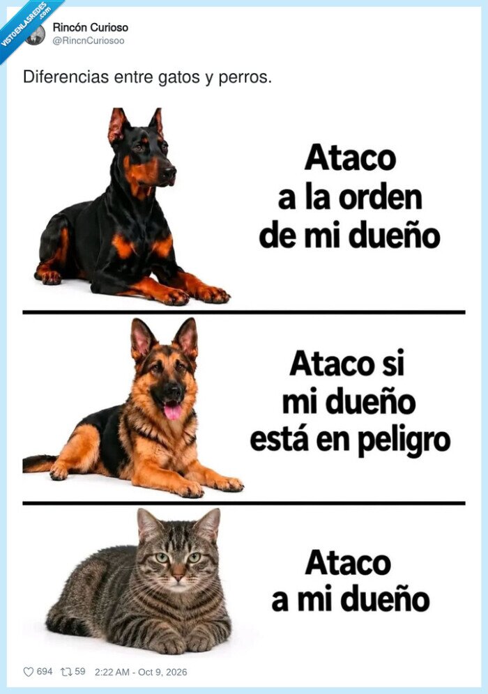 gatos,perros,mascotas,due&ntilde;os,traici&oacute;n