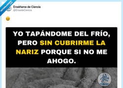 Enlace a El dilema térmico más difícil de resolver cada noche de otoño, por @EnsedeCiencia